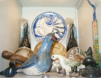 Alcune colombe della collezione di Bodini